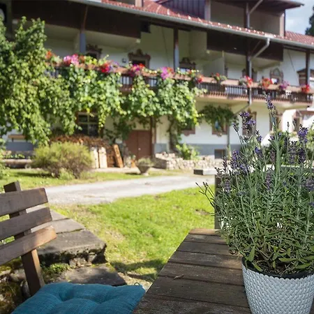 Ferienwohnung-sonnenkopf-inmitten-der-natur شقة أوفتيرشفانغ