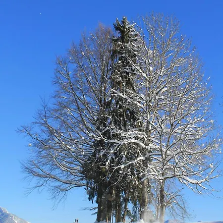 Ferienwohnung-sonnenkopf-inmitten-der-natur شقة